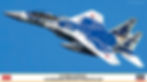 McDonnell Douglas F-15DJ Eagle - Aggressor Digital Camouflage Hasegawa 02454
