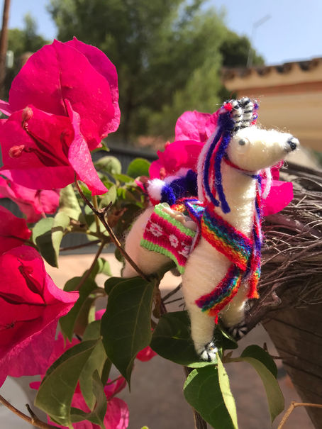 death comes without warning