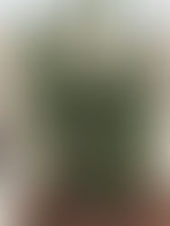 karma chameleon...er, ants? PART 1