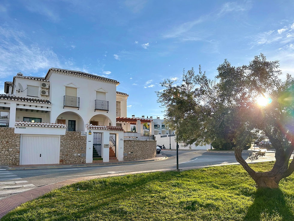 Casas bajo cielo azul con un árbol delante – consejos para evitar errores al comprar una propiedad en España.