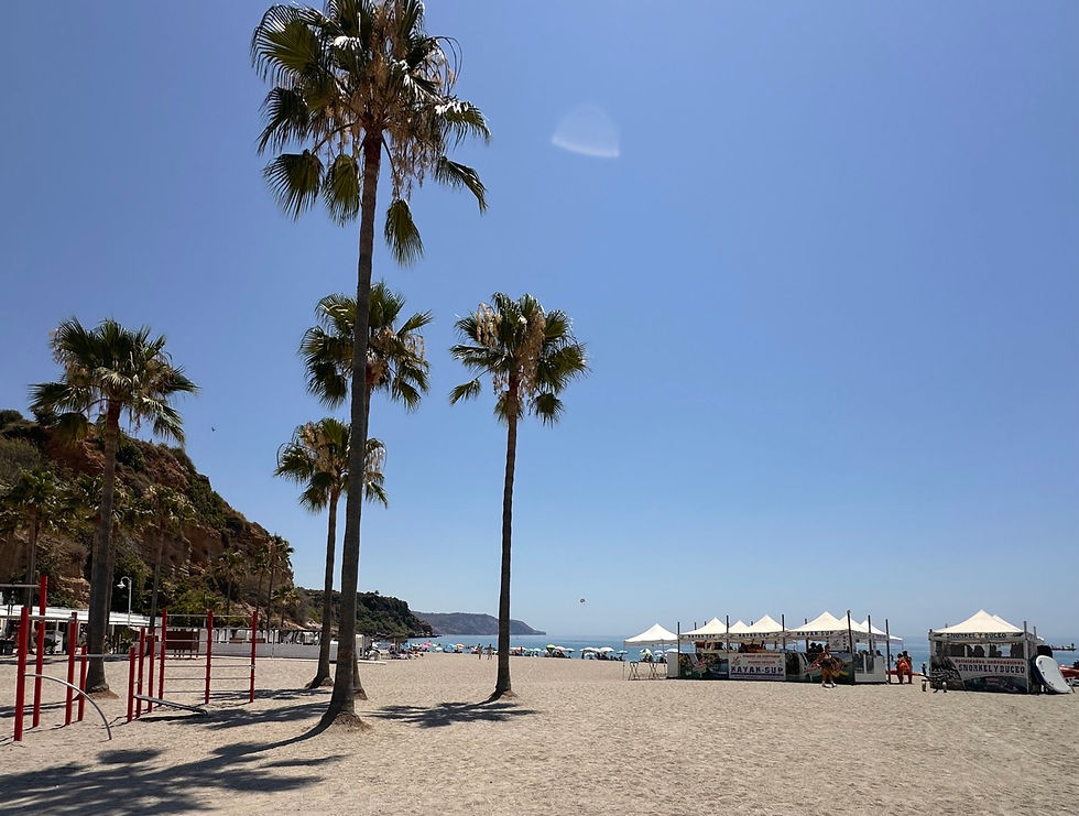 Playa Burriana en Nerja con palmeras, tumbonas y alquiler de SUP.