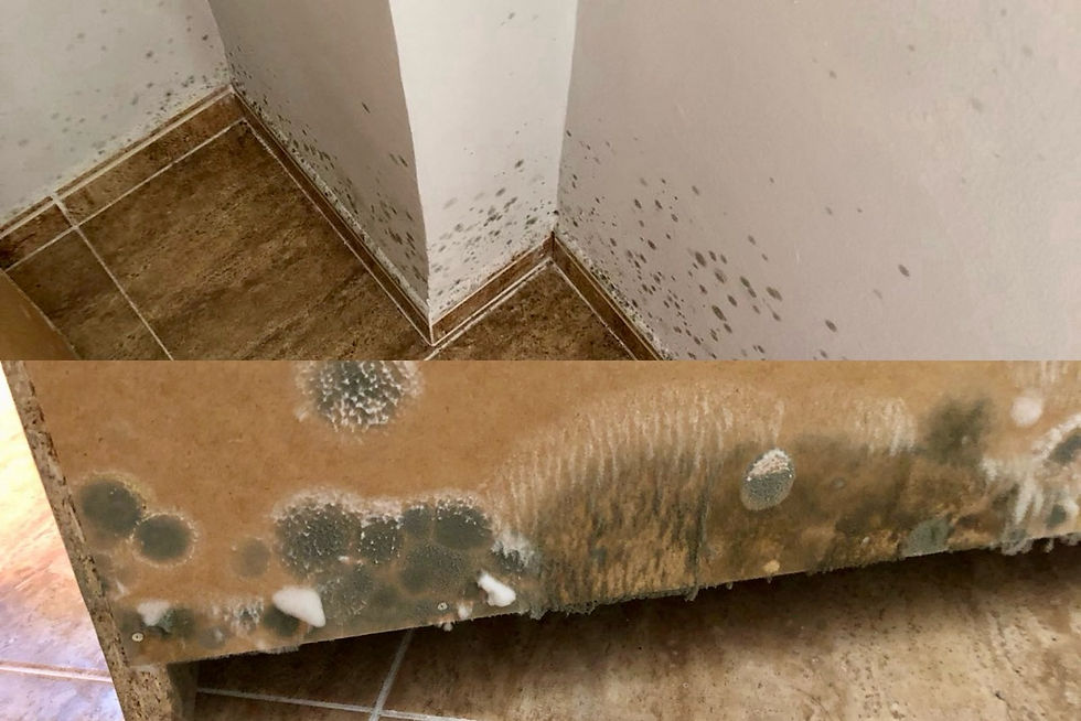 Muebles y objetos afectados por el moho debido a una ventilación inadecuada.