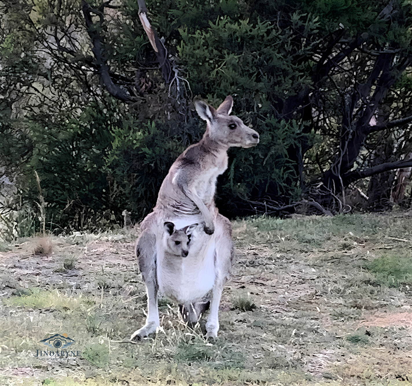 Mum & Bub