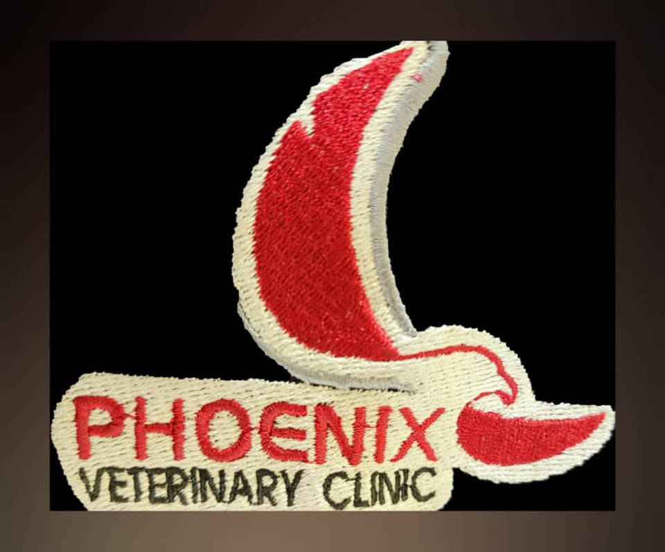logo-pc.png
