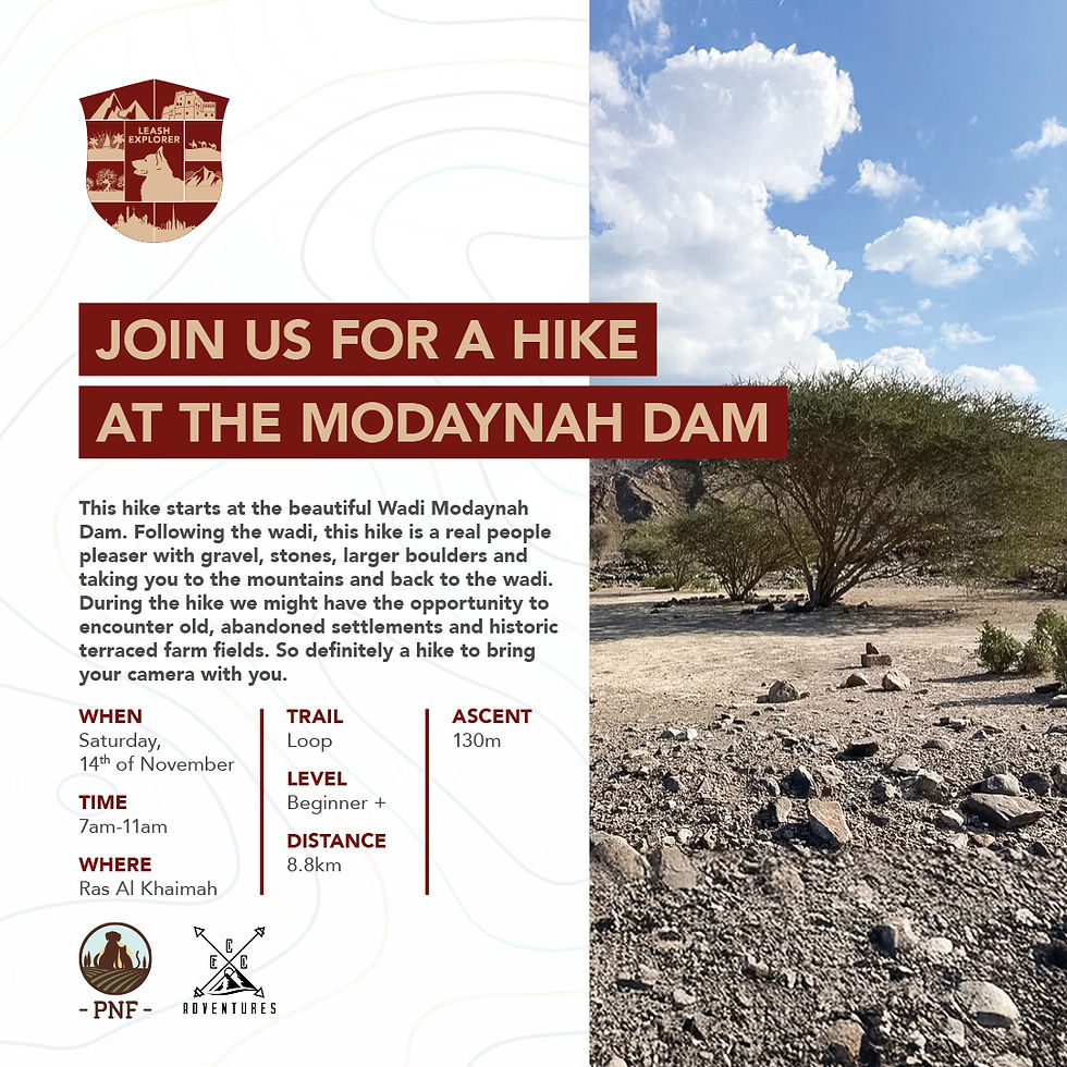 Join us for a hike at the Modaynah Dam!