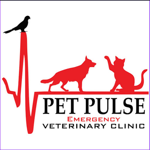 logo-pc.png