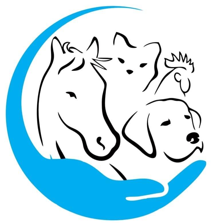 logo-pc.png