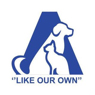 logo-pc.png