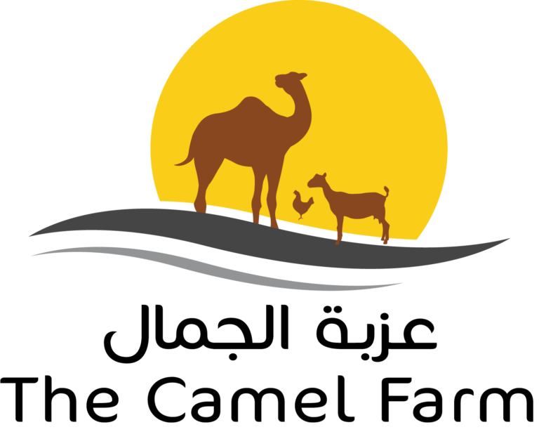 logo-pc.png