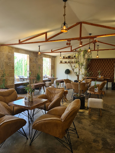 Is Whatsapp web down? visual data 3