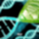 human-longevity-and-the-science-min.png