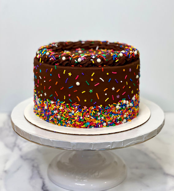 Rainbow sprinkles on chocolate cake, single tier.