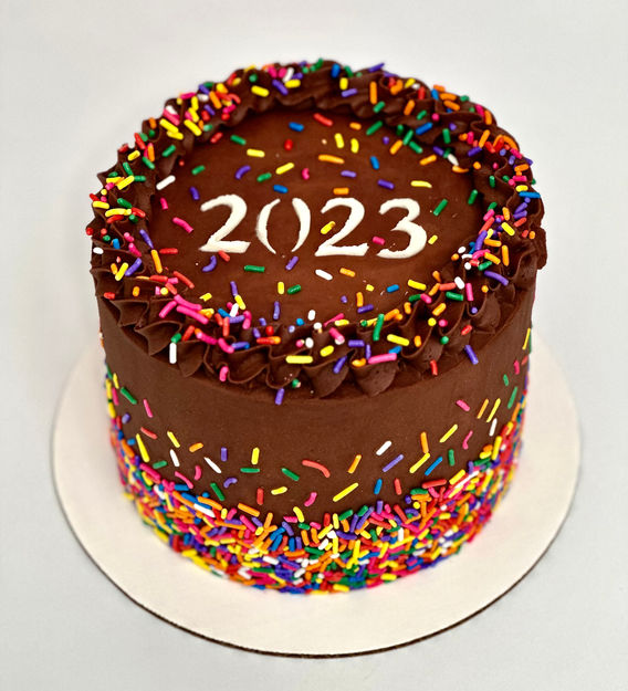 2023 sprinkle cake with chocolate buttercream.