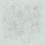 Line artwork develops the small activities within the lotus landscape.