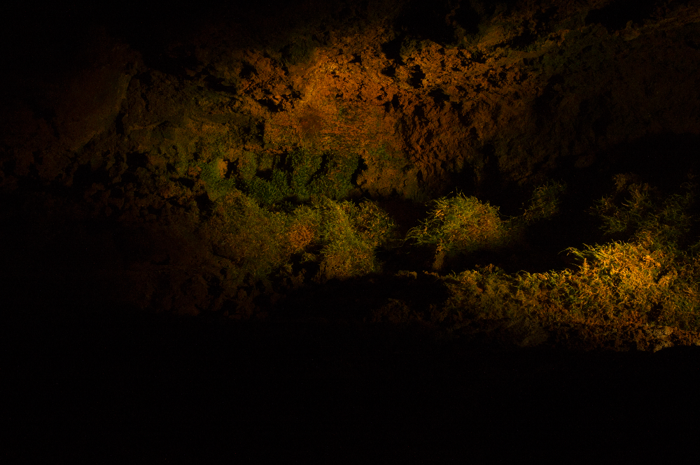 Cave Textures in