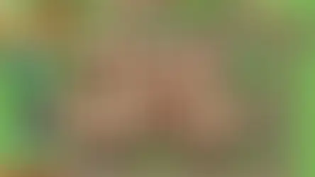 Tiny Village logo on a blurred background of the village itself