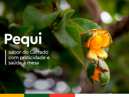 Pequi: sabor do Cerrado com praticidade e saúde à mesa