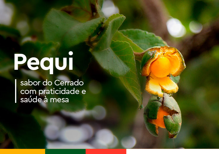 Uma imagem de um pequi