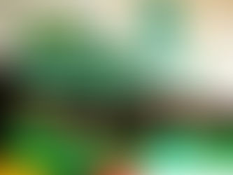 COPPALJ é a primeira cooperativa brasileira a se tornar membro da UEBT: um marco para o bio‑comércio ético e a sociobiodiversidade