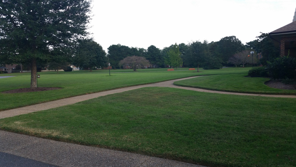 Well-maintained grass in a park area with clean edging and healthy looking trees.