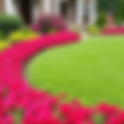 Norfolk Bi-weekly Lawncare Subscription 