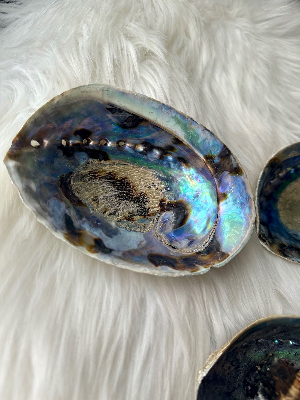 Thumbnail: Abalone Shell Dish