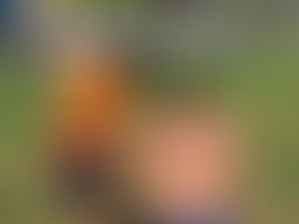 Bringing Sports Physiotherapy to Gladesville