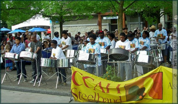 Canadian Federation of Steel Pan logo