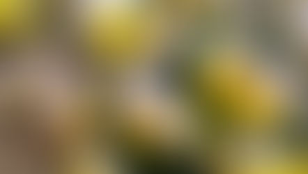 「新約聖書の学び」第5回 マタイによる福音書6章