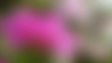 Web教会学校　第４９回　「安心して暮らしていくために」