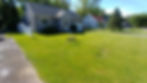 a stump in the center of beautiful lawn,the stump will be be removed by stump grinding by A Finer Grind Stump Removal Inc.