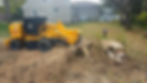 Stump Grinding by A Finer Grind Stump Removal Inc.