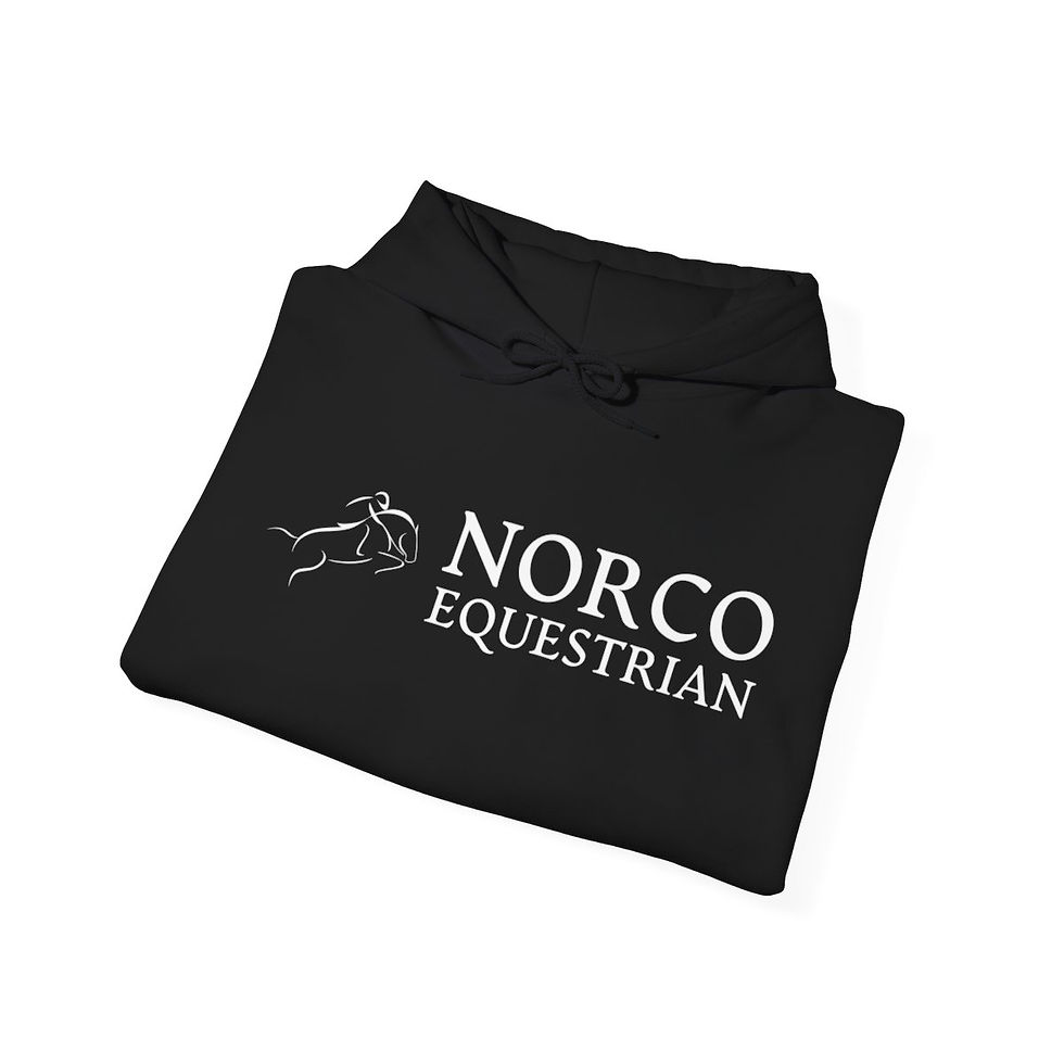 Thumbnail: Black Hooded Sweatshirt Design #1 (Unisex)