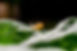 snail-4353580_1920.jpg