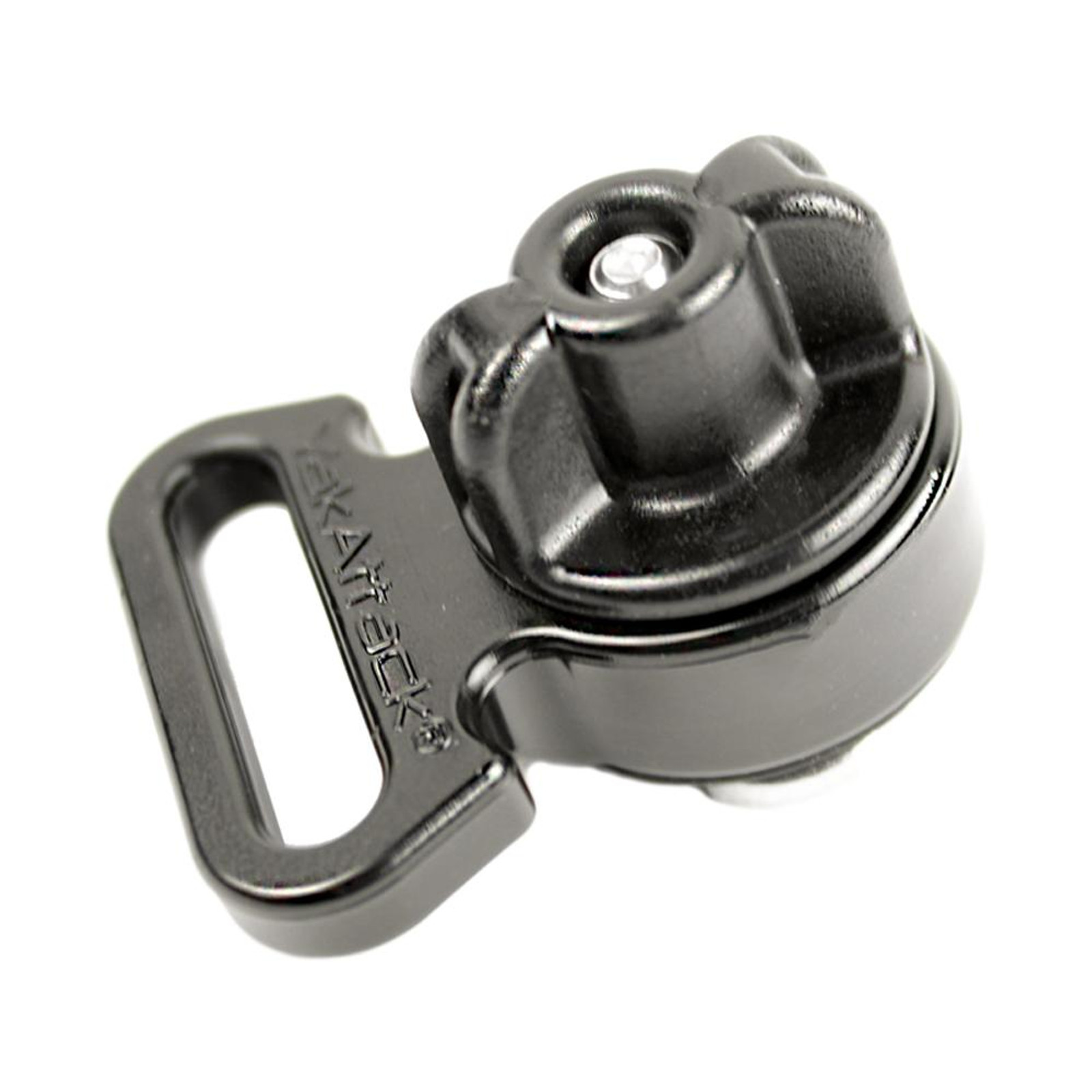 aap-1027.jpg