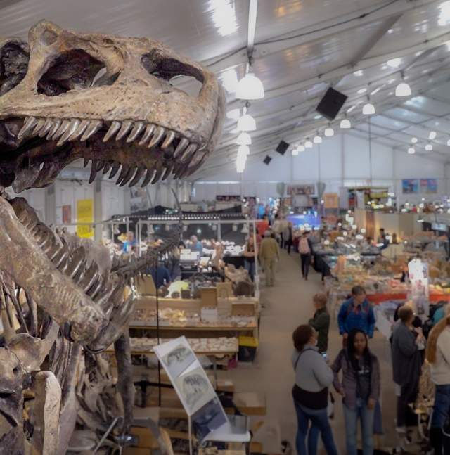 Gem Show #2- Dinosaur