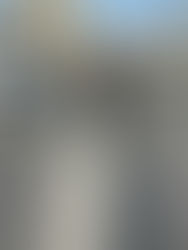 社会貢献活動 清掃