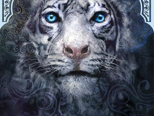Tiger’s Curse by Colleen Houck - Series Review (Reread)