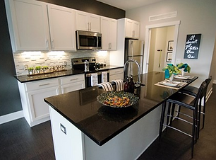 pasted image 0 (3).png