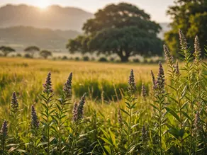 Uncovering the Power of African Herbs: Ancestral Healing and Our History