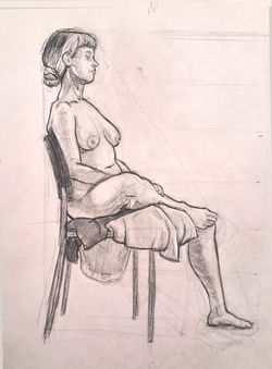 Andre_Rosal_Week_13_LongStudy