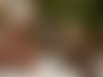 Cato Marketing’s new client: Nereus London