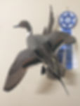 IMG_0358.jpeg