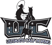 UCR Logo (no background).png