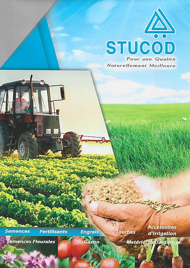 stucod 1.jpg
