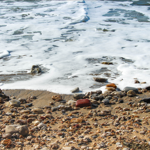 Sea shore