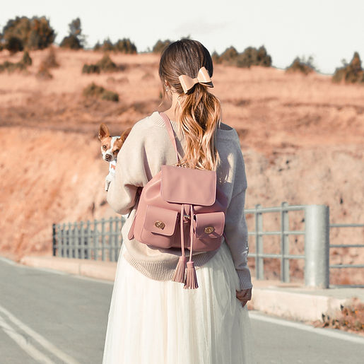 Girl in Pink with Dog