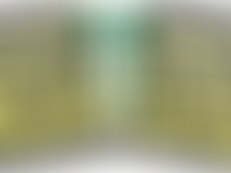 Moghalu Rallies the Middle Class for A New Political Culture in Nigeria at TBAN Town Hall Meeting