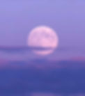 purple moon.jfif