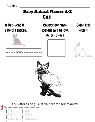 Baby Animal Names Worksheet (A-Z)